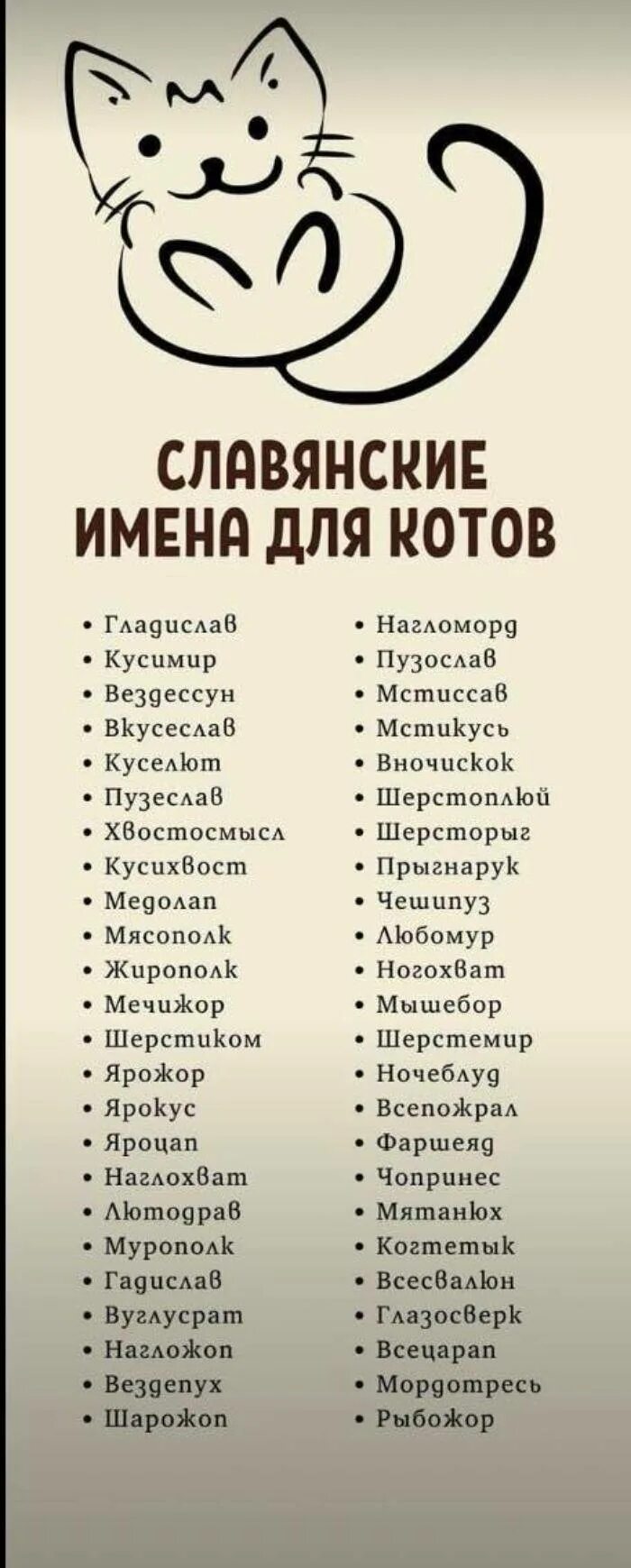 Веселые клички. Прикольные имена для котов. Прикольное имя для кота. Смешное имя для кота. Славянскиетмена для кошек.