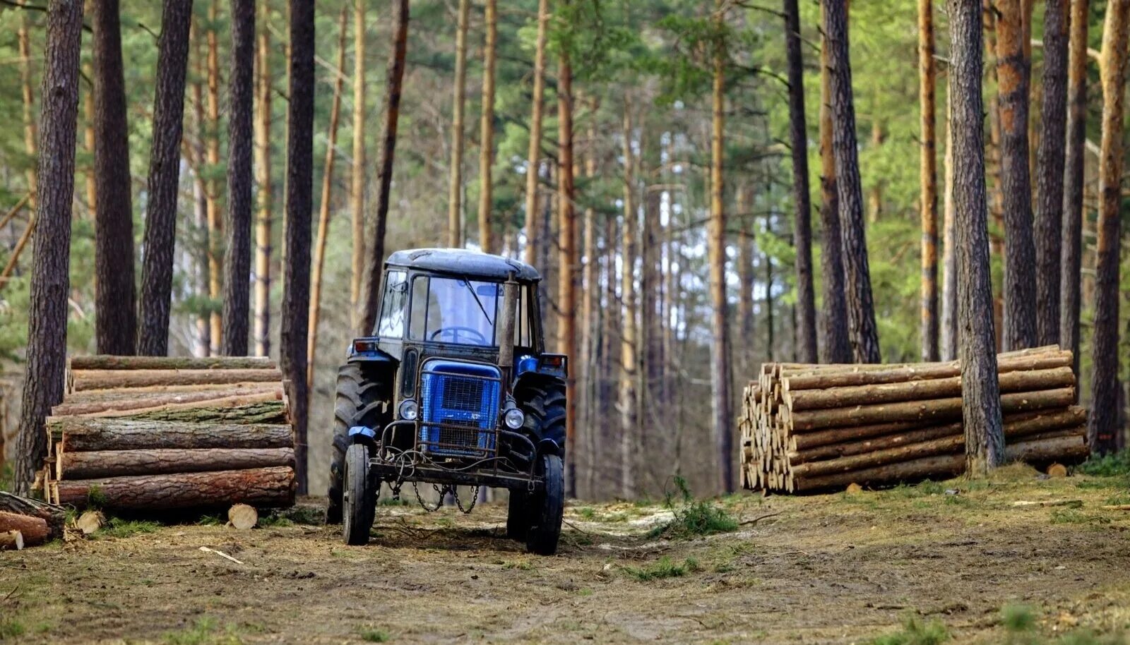 лесное хозяйство. лесозаготовительный комплекс джон дир. лесной трактор валтра. машины работающие в лесу. 4.