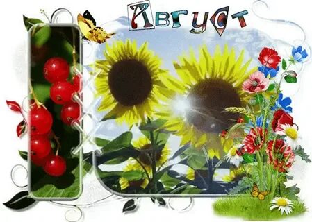 Август картинки анимация