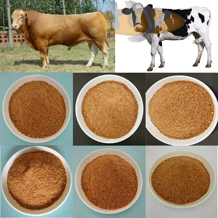 Корма для коров. Кормовые добавки для животных. Корм для крупного рогатого скота. Кормовой белок для животных. Протеин корова