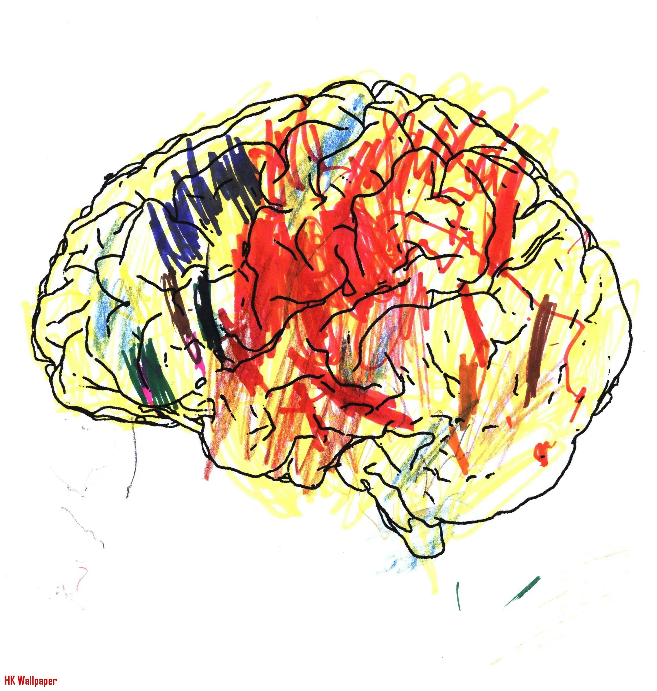 Colored brains. Мозг краски. Мозг красками на белом фоне. Левое и правое полушарие мозга. Мозг рисунок штрихами.