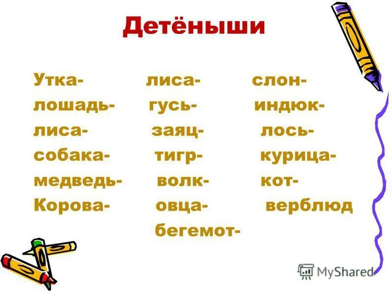 боров женского рода