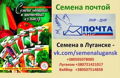 Семена почта новосибирск