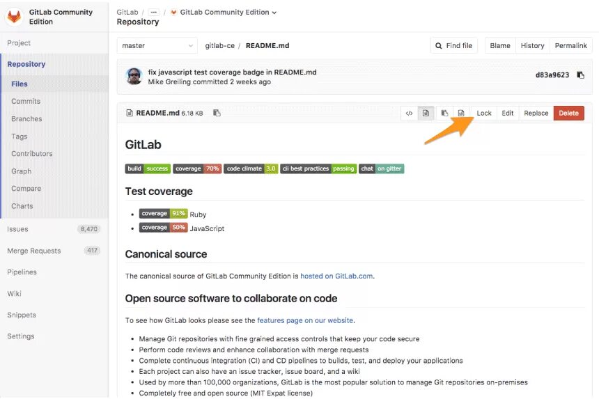 GITLAB delete repository. GITLAB community Edition. New Directory в GITLAB. GITLAB управление расширениями.