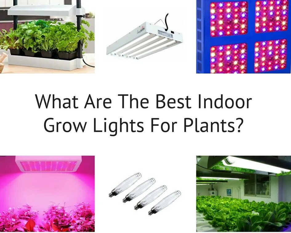 We grow well. Fluorescent Light for Plants. Plant grow Light. Led Plant grow Light rohs. Plant grow Light разборка.