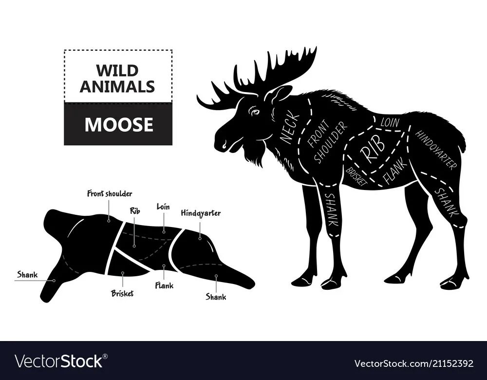Какая часть лося. Схема разделки лося. Разделка туши лося схема.