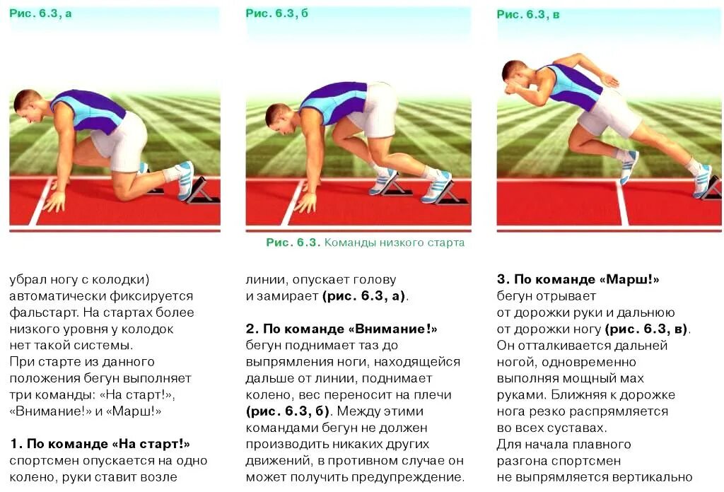 Низкий старт сколько команд. Техника бега с низкого старта. Стартовое ускорение в беге на короткие дистанции. Техника бега на короткие дистанции старт. Исходное положение для низкого старта:.