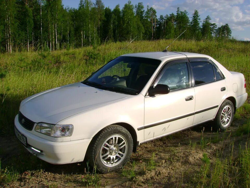 Тойота Королла LX 2000. Toyota Corolla LX 1999 года. Toyota Corolla LX. Королла 110 мат.