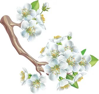 Цветочки веточки