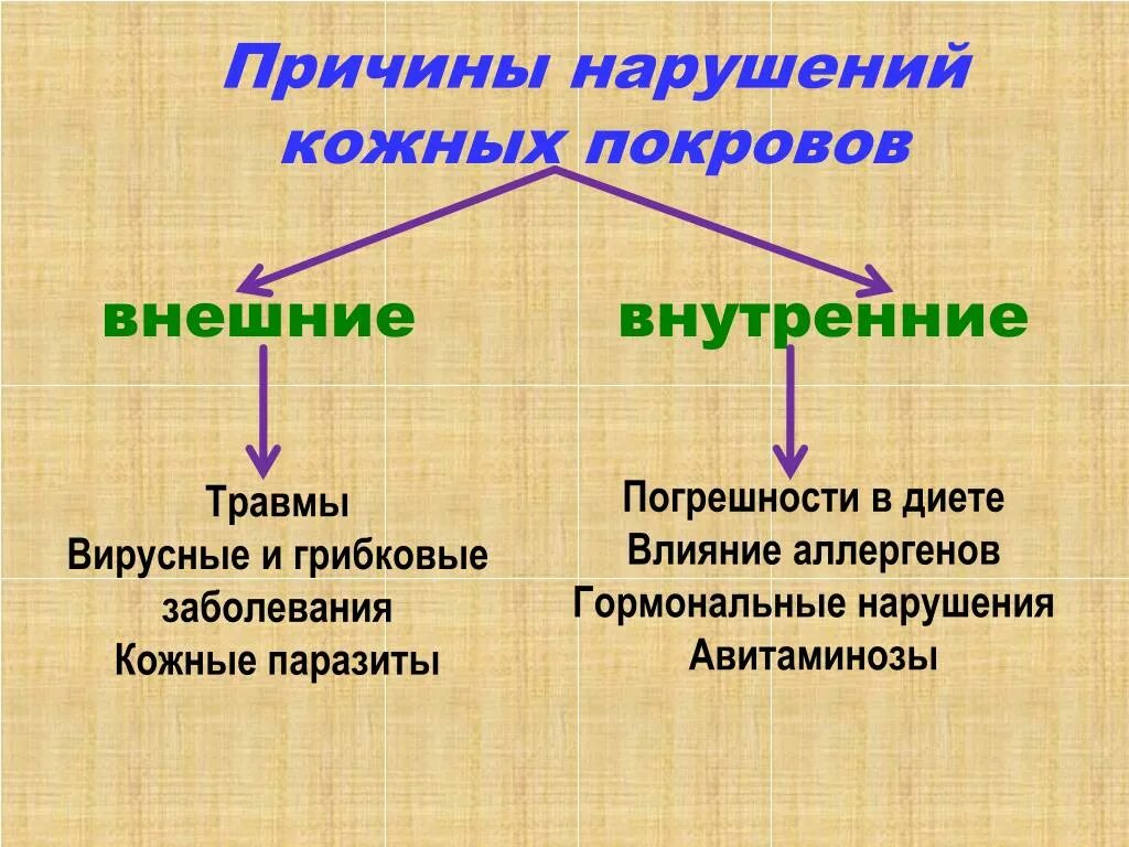 Причины нарушения кожи. Нарушение кожных Покрово. Причины кожных покровов. Причины нарушения покровов кожи. Нарушение кожного Покрова и повреждения.