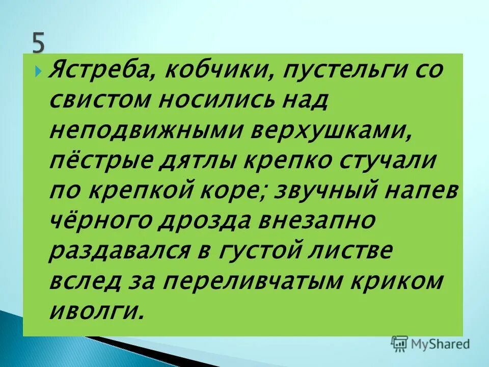 лишь изредка. около родника зеленеет короткая бархатная. родник дубовый куст переволоцкий. около родника зеленеет короткая бархатная. ручей соболевский овраг.