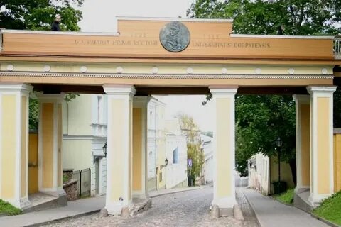 Ровно 45