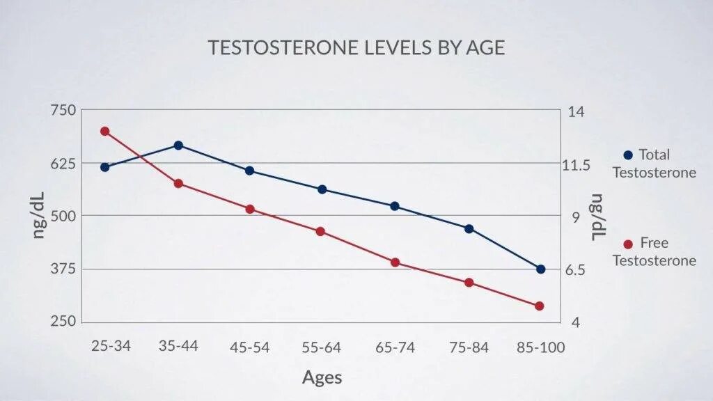 Уровень тестостерона у мужчины после 40. График изменения уровня тестостерона. Выработка тестостерона у мужчин по возрастам. Тестостерон от возраста. График выработки тестостерона у мужчин.