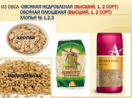 Виды геркулеса