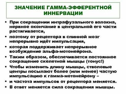 Что означает гамма