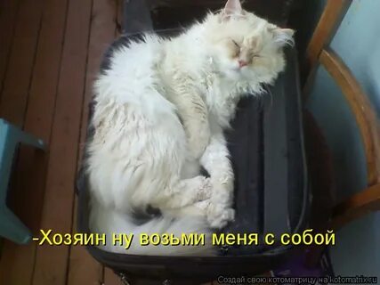 Хозяин возьми