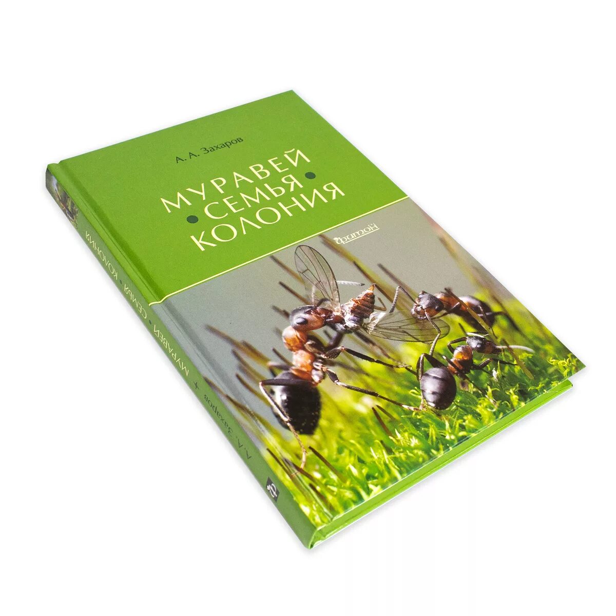 Книга про муравья. Энциклопедия о муравьях. Книги о муравьях. Энциклопедии про муравьёв. Книга про муравьев.