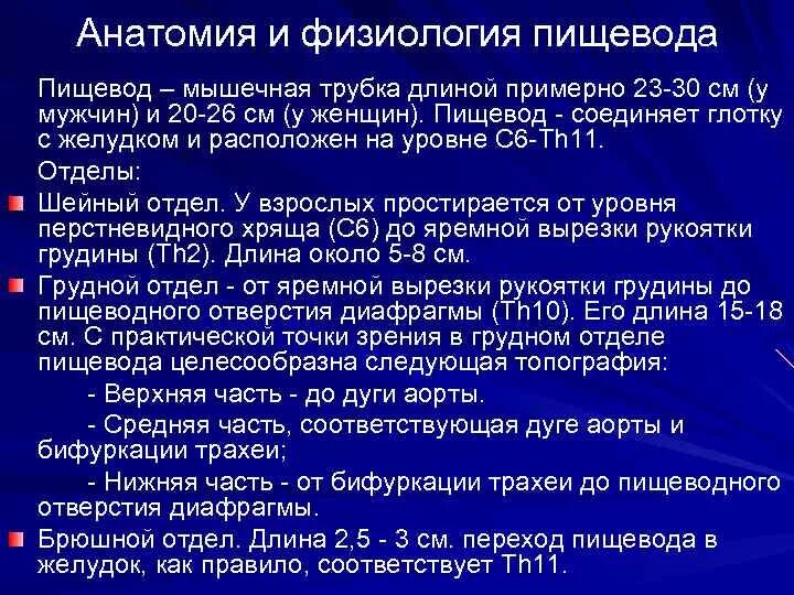 Анатомия и физиология пищевода. Клиническая анатомия и физиология пищевода. Функции пищевода физиология. Функциональные особенности пищевода.