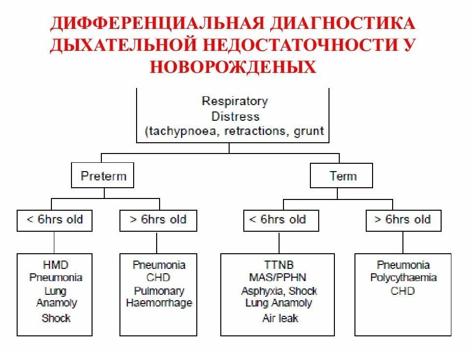 Дыхательная недостаточность диагноз. Дыхательная недостаточность дифференциальная диагностика. Дифференциальная диагностика острой дыхательной недостаточности. Диф диагноз дыхательной недостаточности. Диф диагностика острой дыхательной недостаточности.