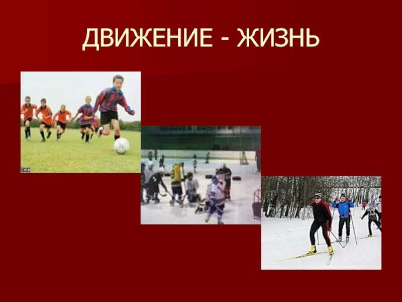 Движение жизнь 3 класс. Жизнь в движении. движение это жизнь картинки. движение это жизнь презентация. доклад на тему движение это жизнь.