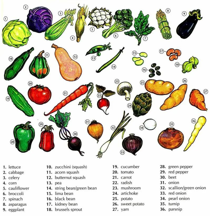 Vegetables learn. List of Vegetables in English. Vegetables список на английском. Фрукты и овощи на английском. Овощи на английском для детей.