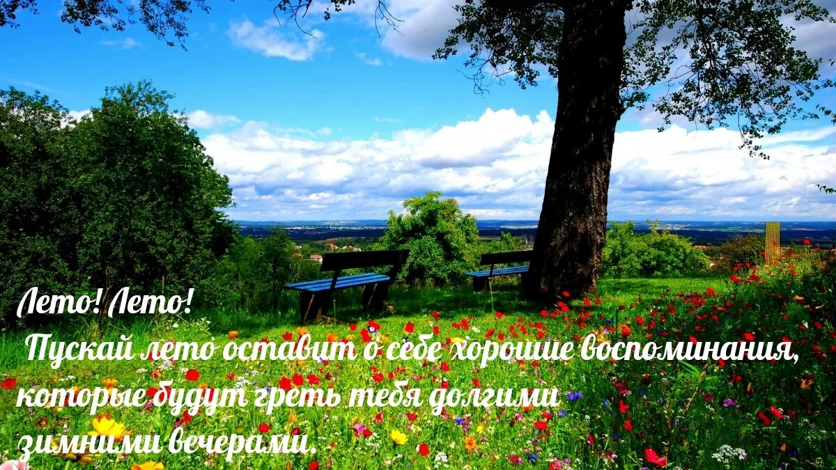 Про лето в этом году. Летние картинки с надписями. Лето картинки с надписью. Картинки лета с надписями. Картинки о лете с надписями.