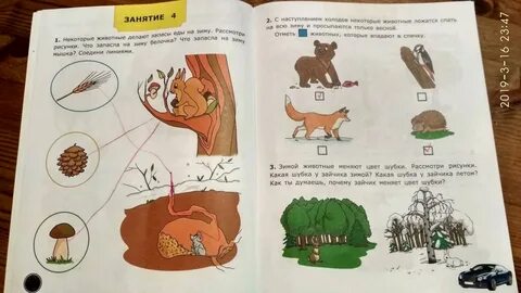 Окр 5 лет
