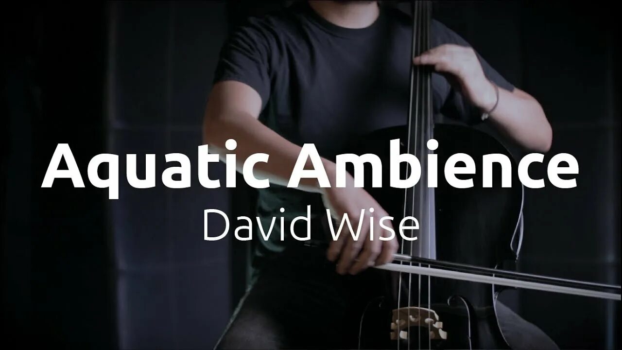 Aquatic ambience slowed reverb. David Wise. Aquatic ambience. Scizzie - Aquatic ambience. David Wise Concert.