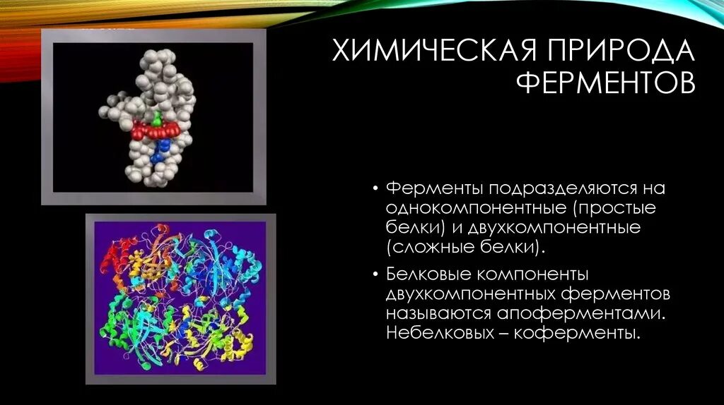 Химическая структура ферментов. Ферменты их химическая природа. Какова химическая природа ферментов. Ферменты по химической природе.