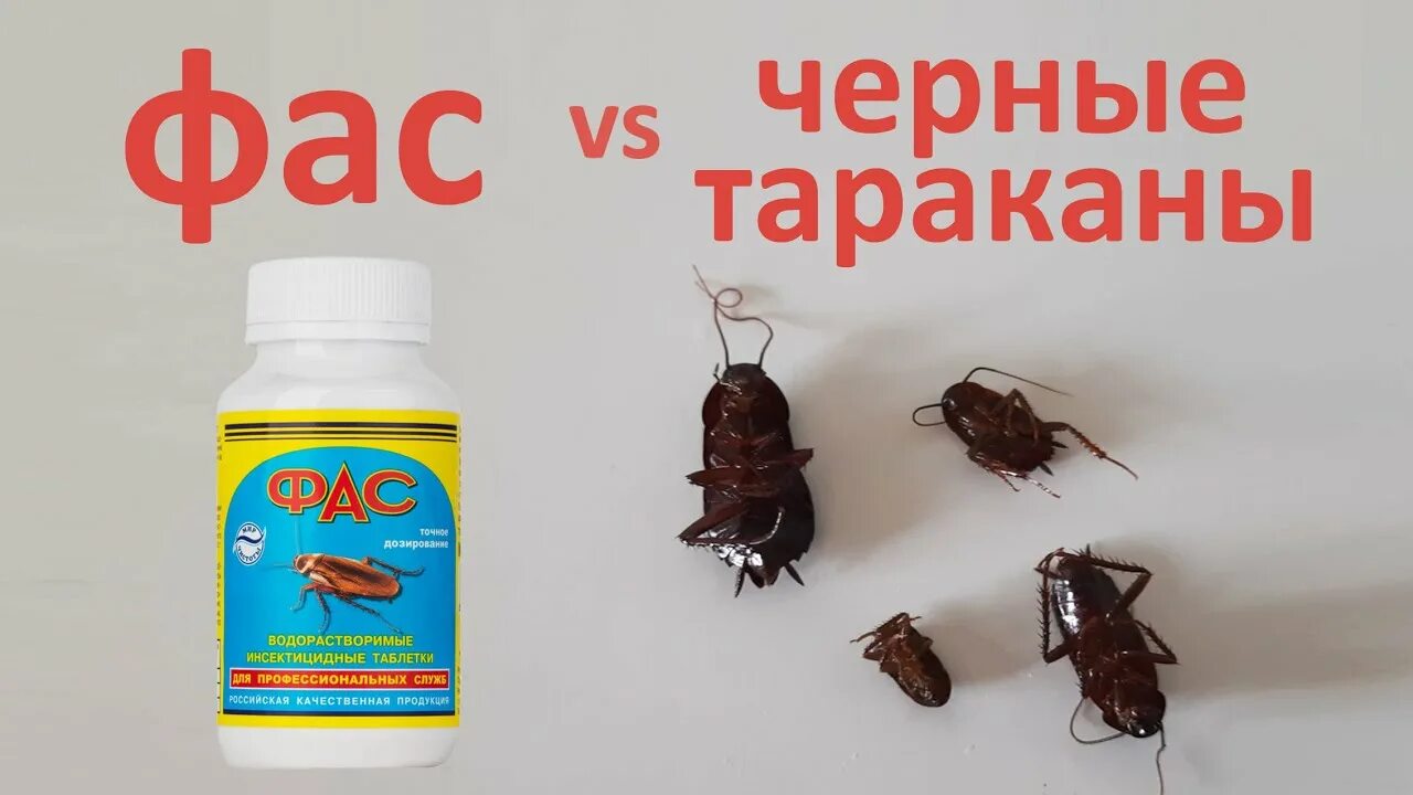 Фас как пользоваться. Фас тараканы. фас против тараканов. фас отрава для тараканов. 1000 тараканов против 1000 муравьев.