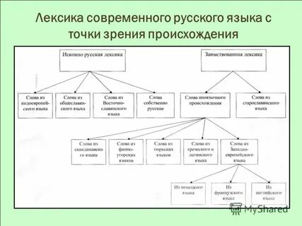 Происхождение и употребление русской лексики кратко