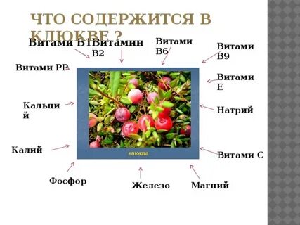 Сколько витаминов в ягодах