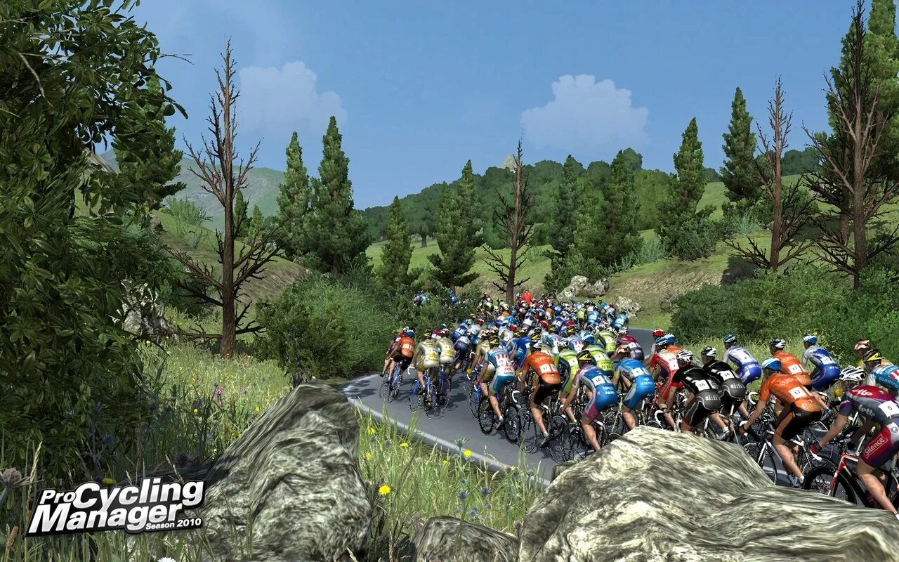 Игры из 2010. Де сайкл игра. Pro Cycling Manager 2022. Pro cycling