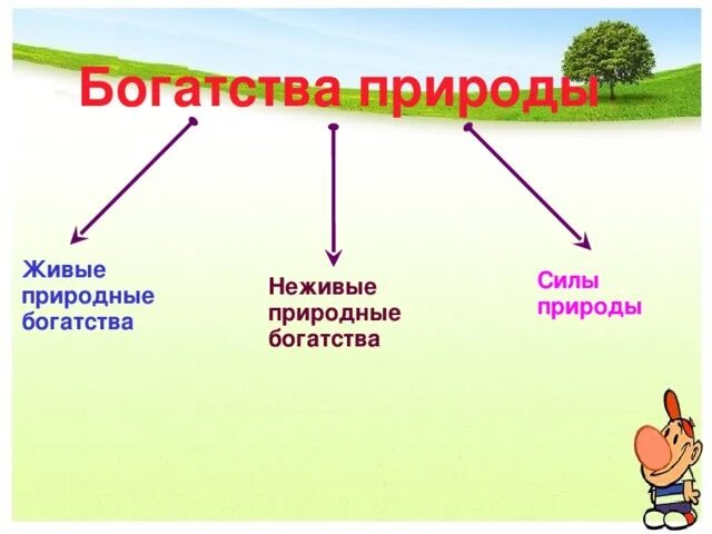 Богатства живой природы. Неживые природные богатства. Живые и неживые природные богатства. Природные богатства неживой природы.