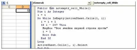 Vba while
