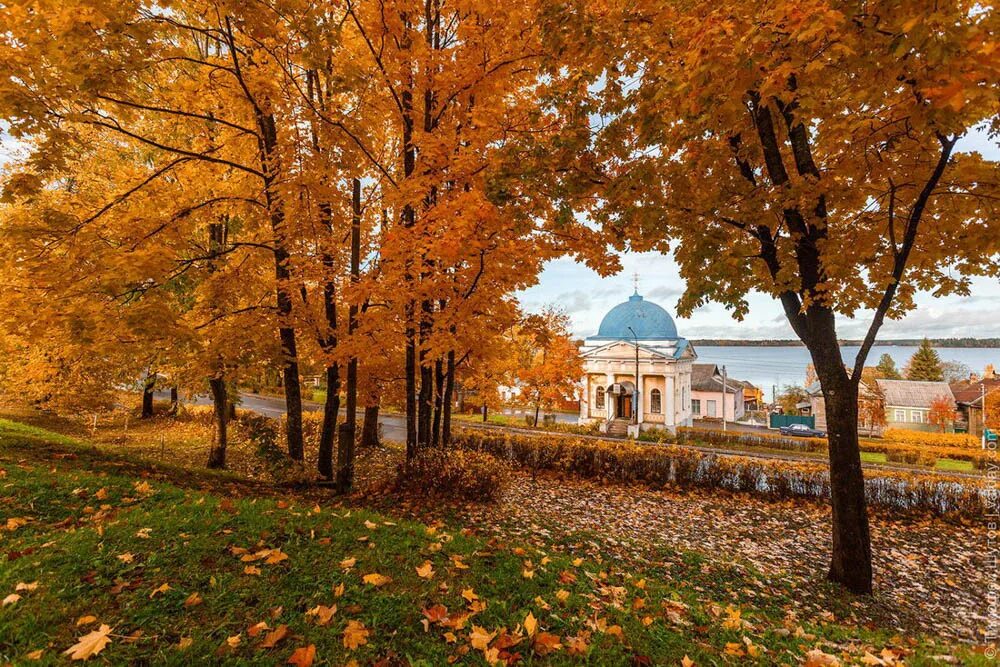 Осень сайт великого новгорода. Старая Русса осень. Осень Старая Русса парк. Старая Русса осенью. Осень Великий Новгород Парковая.