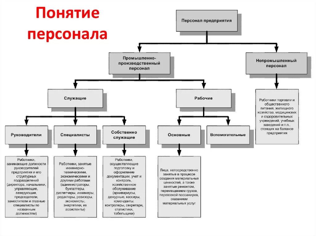 Основной персонал организации это