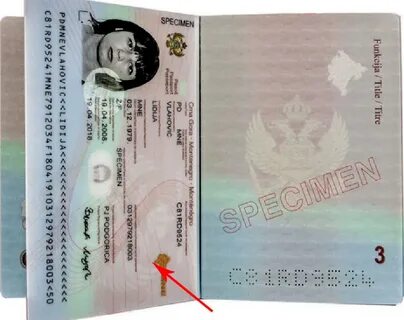 Черногория какие документы