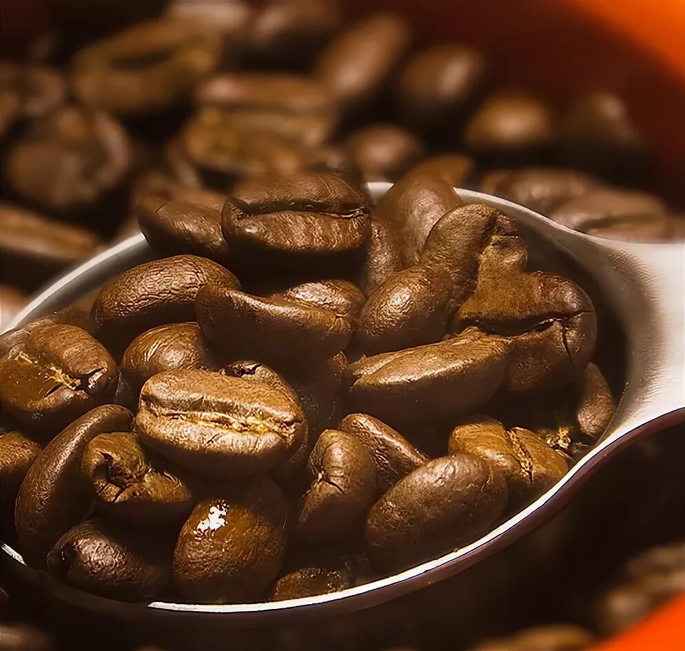 кофе тн. кофе эфиопия. ассоциация с сммщиком тонна кофе. кофе тн. кофе на развес в зернах.