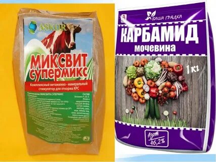 Аминокислоты для растений