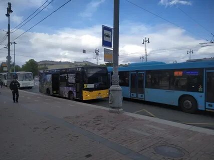 Автобус 204 спб