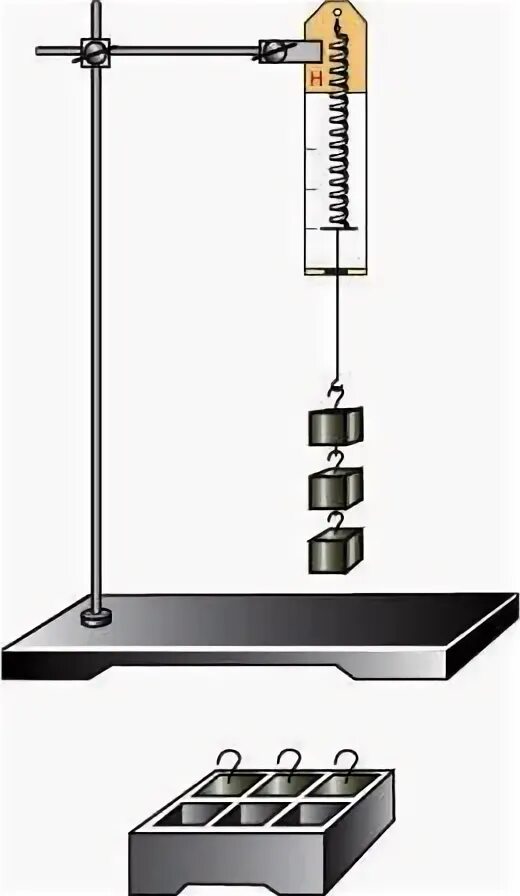 Динамометр градуирование пружины и измерение сил динамометром. Проградуируйте пружину динамометром. Лабораторная 6 градуирование пружины и измерение сил динамометром. Градуирование пружины динамометра. Укрепить динамометр в лапке штатива