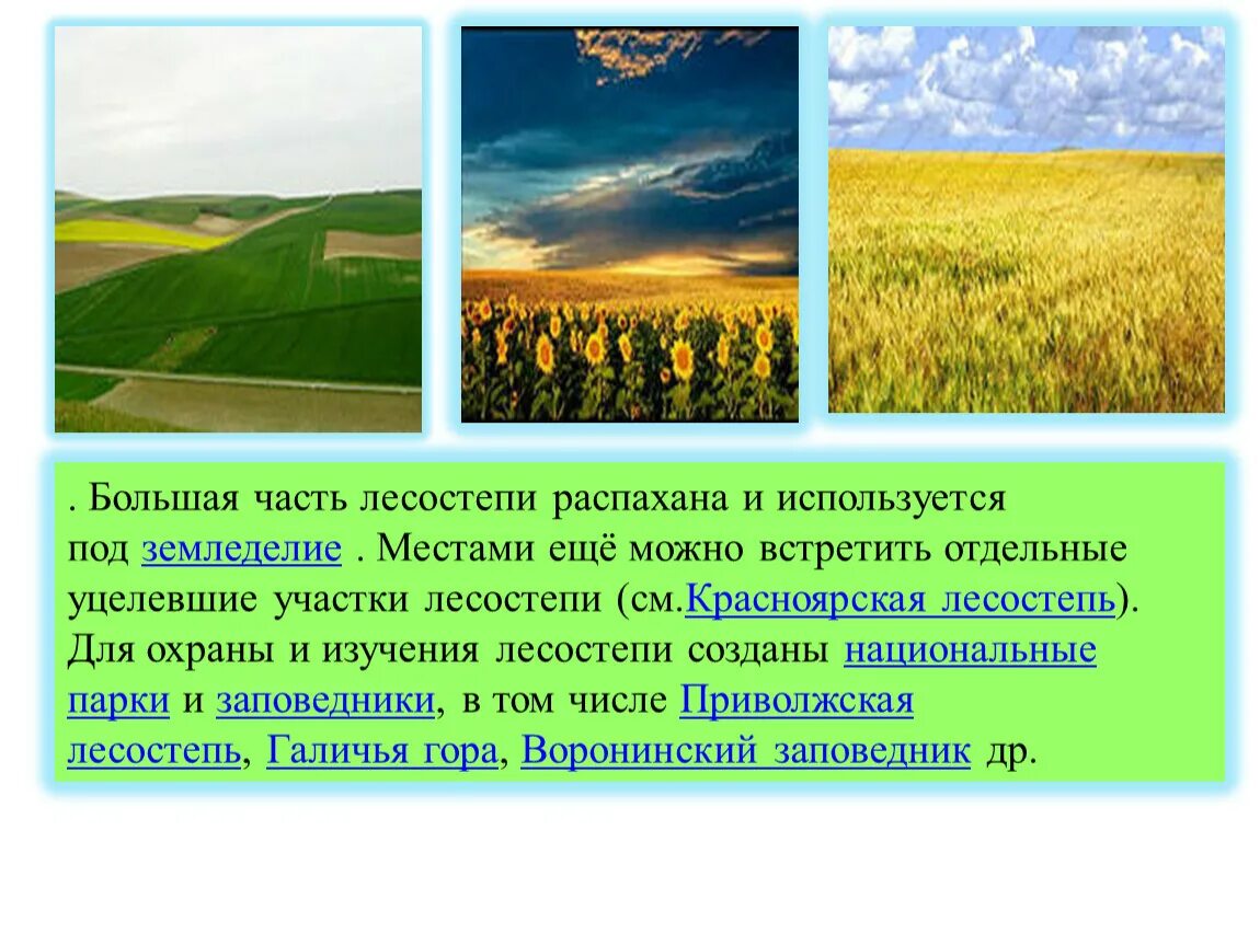 Лесостепь россии урок. Деятельность человека в лесостепи и степи в России. Природные зоны степи и лесостепи. Хозяйственная деятельность лесостепи. Лесостепь презентация.