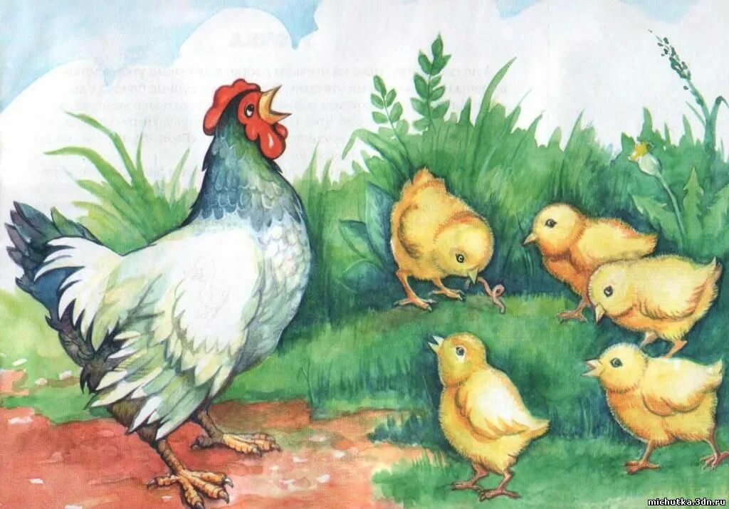 День домашних птиц. Занятие "Курочка и цыплята" Бондаренко. Курица с цыплятами. Курица с цыплятами для детей. Домашние птицы для детского сада.