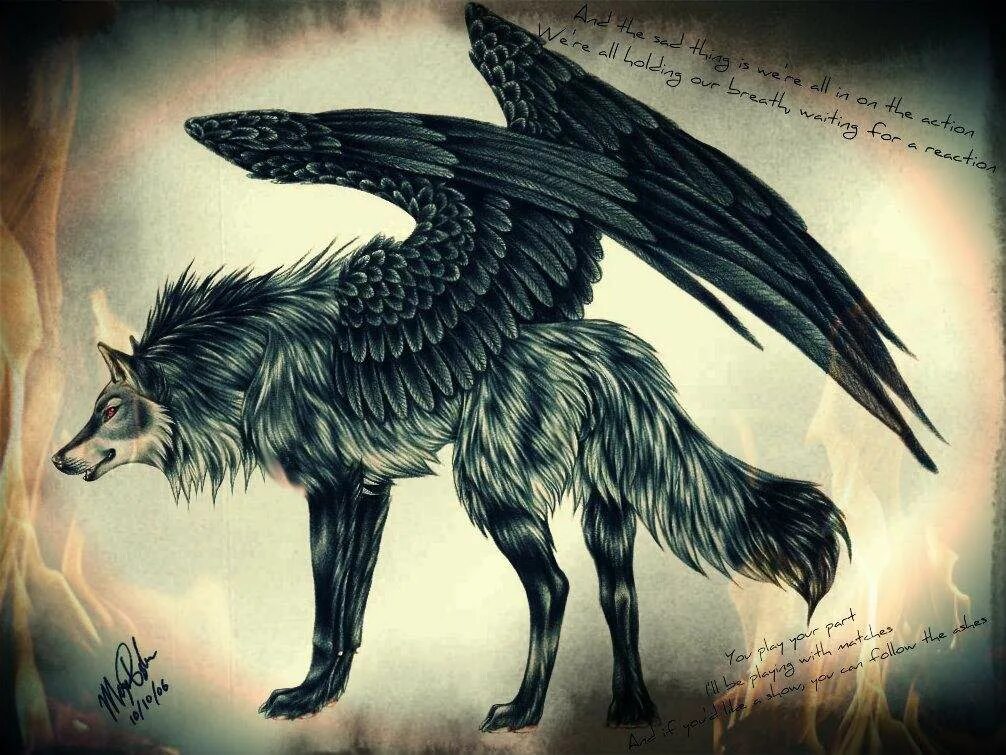 Крылатая собака. Симуран крылатый волк. Симуран Славянская мифология. Симаргл Симуран. Крылатый волк Семаргл.