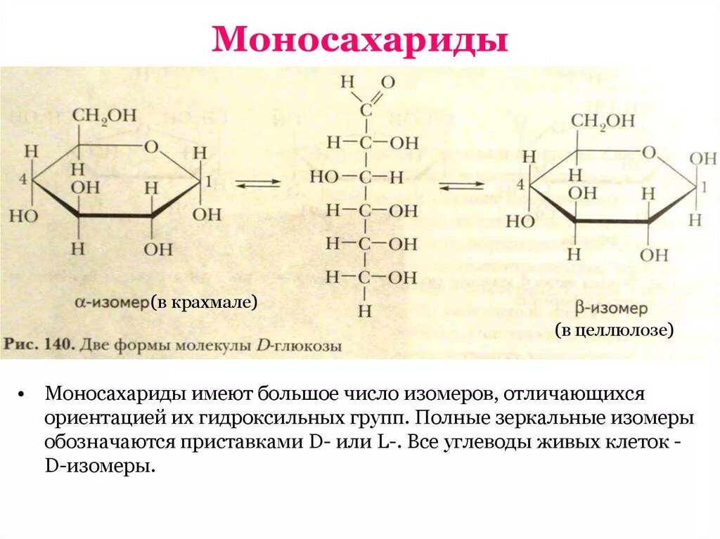 Моносахариды формулы стр 2. Углеводы моносахариды Глюкоза строение. Моносахариды Глюкоза формула. Глюкоза моносахарид строение. Глюкоза сахароза фруктоза рибоза крахмал