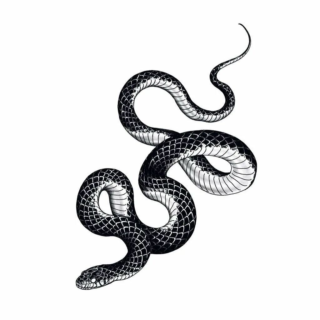 Черный змей что означает. Змея эскиз. Тату змея. Эскизы тату змей. Рисунок змеи для тату.