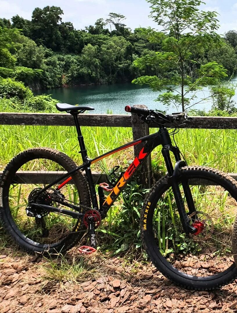 Trek roscoe. Trek Roscoe 8. Trek Roscoe 8 2019. Trek Roscoe 8 2021. Хардтейл Trek.