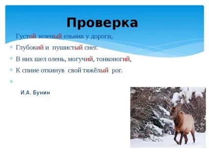 Низины облюбованы ельником стиль текста