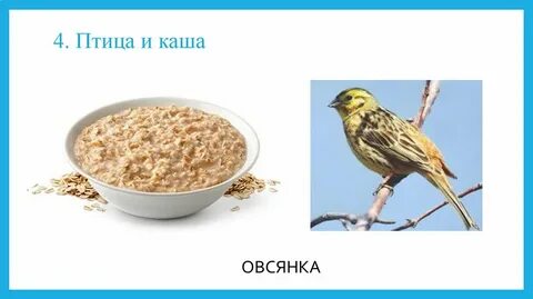 Каша сканворд 7